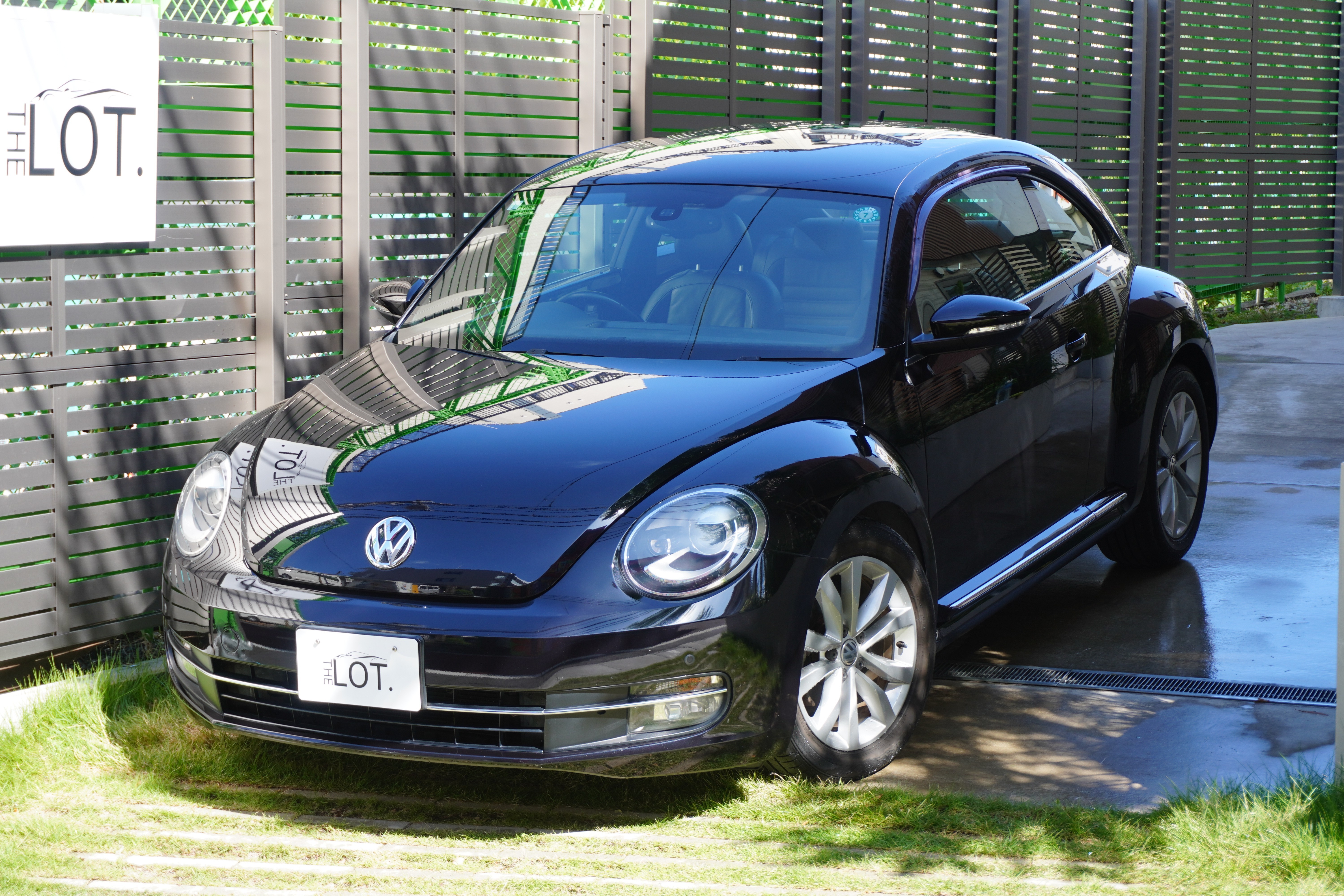 Volkswagen The Beetle